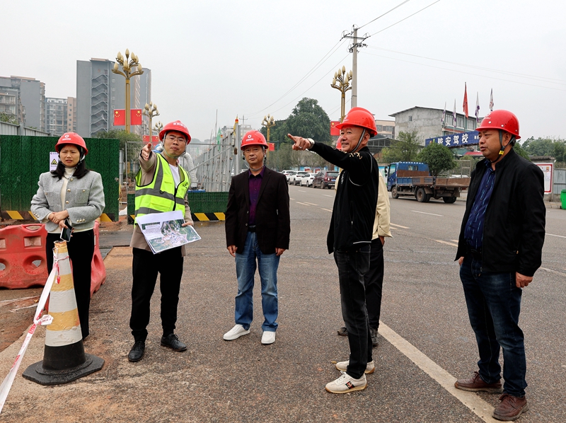 杨祖强到一曼新城排水整治项目工地开展工作督导检查 (1).JPG