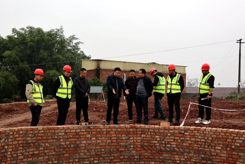 杨锐到三江新区、翠屏区高农项目调研 (1).JPG