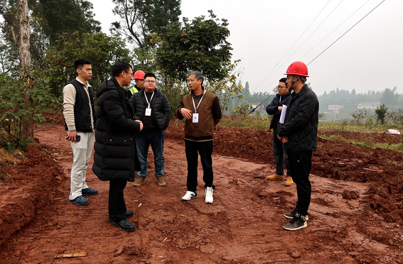 12.19杨祖强到三江新区高农项目工地调研 (1).JPG