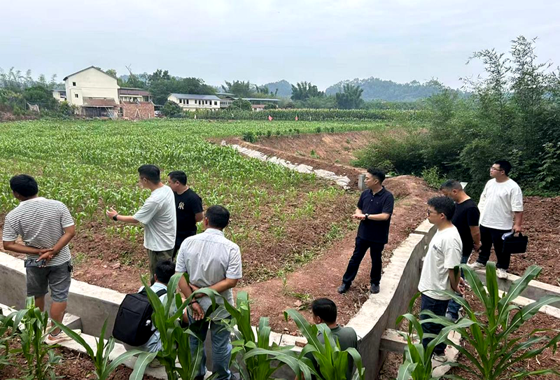 区农业农村局督查2024年翠屏区“高农”建设项目收尾工作.png